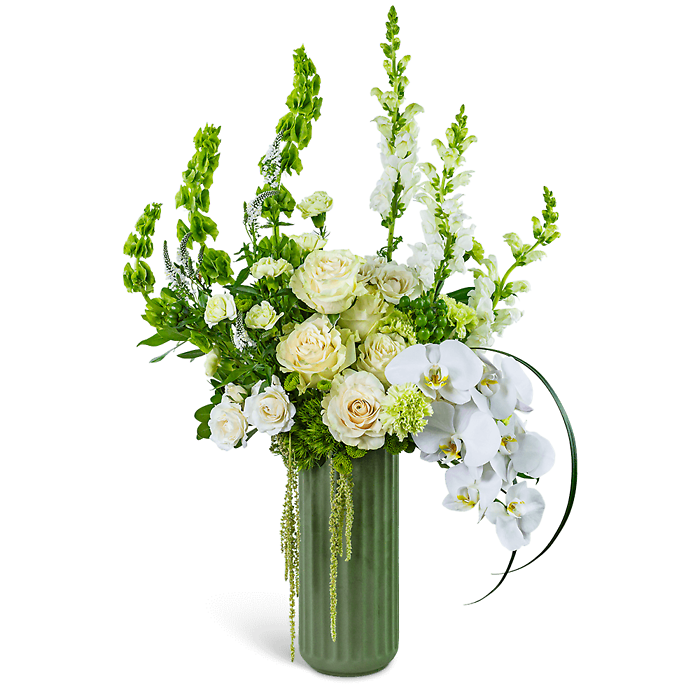 Cashmere Orchid Sway