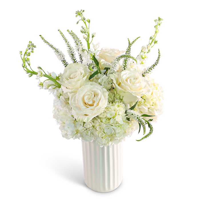 Simply Pure White