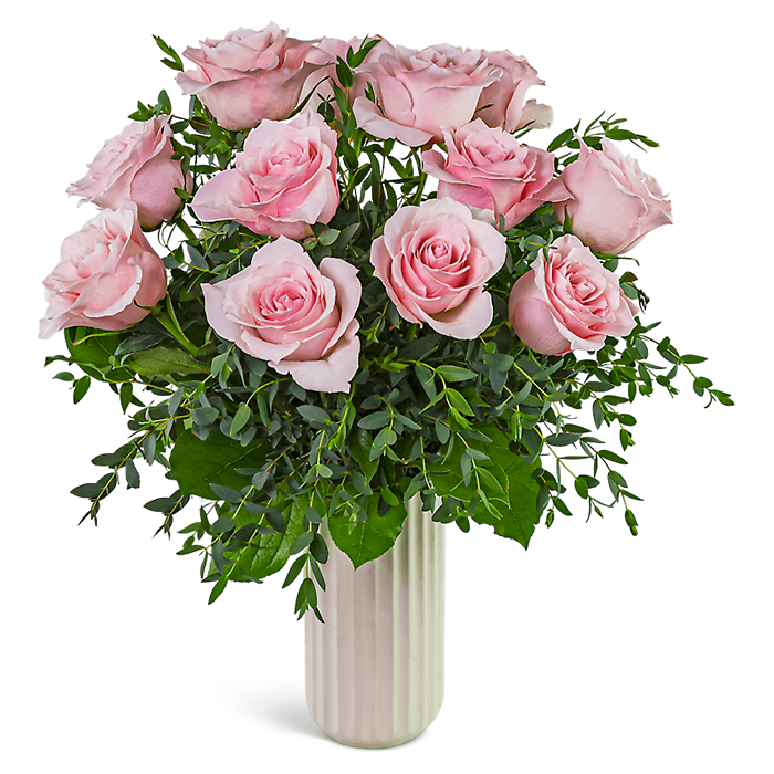 One Dozen Pink Cloud Roses