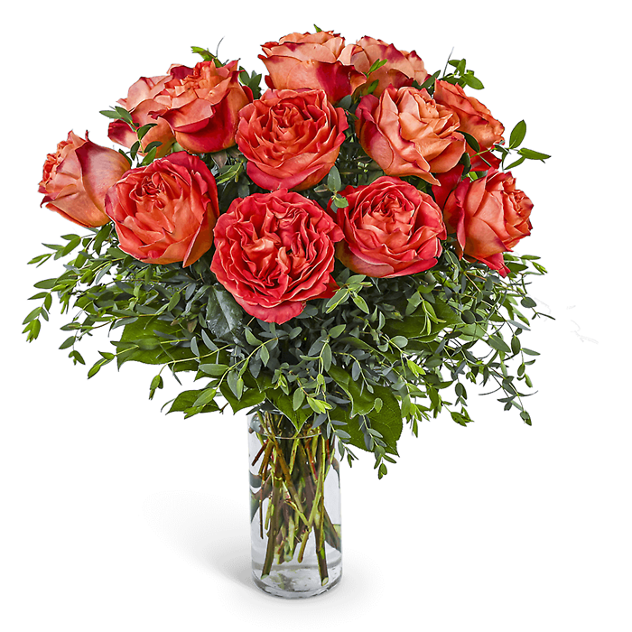 One Dozen Wild Spirit Roses