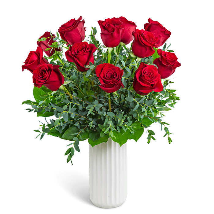 One Dozen Ruby Red Roses