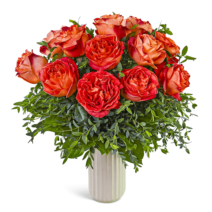One Dozen Chic Wild Spirit Roses