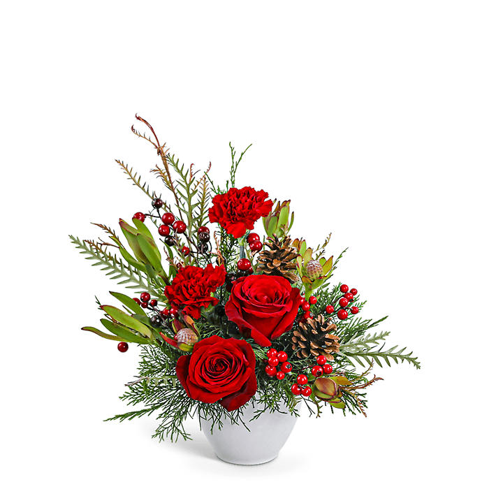 Crimson Pine