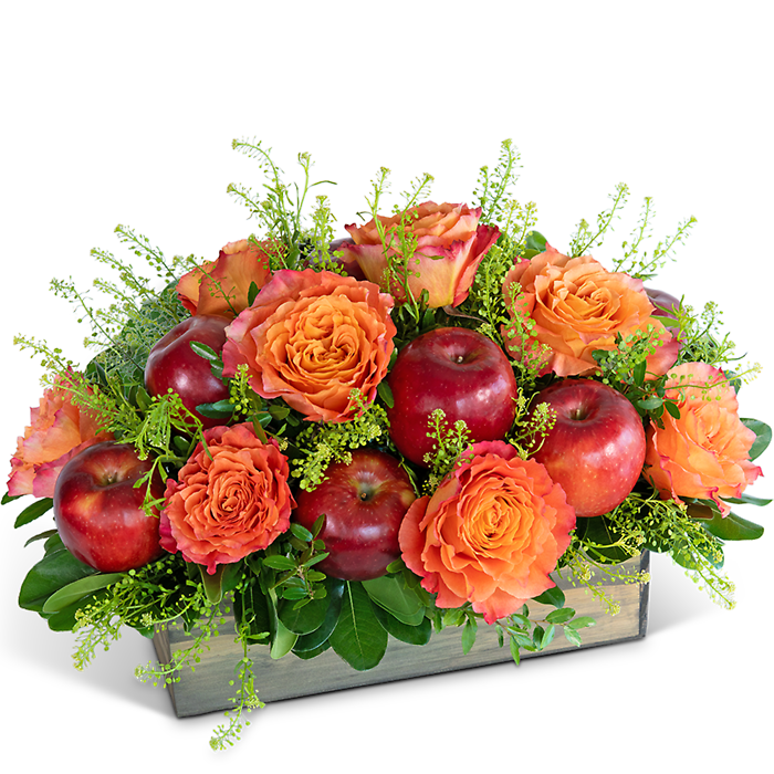 Rosy Orchard Luxe