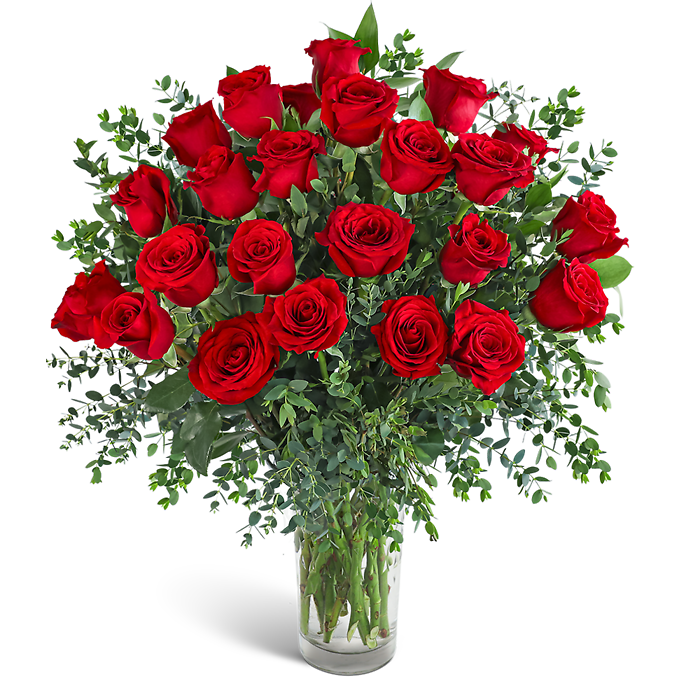 Two Dozen Red Hot Roses
