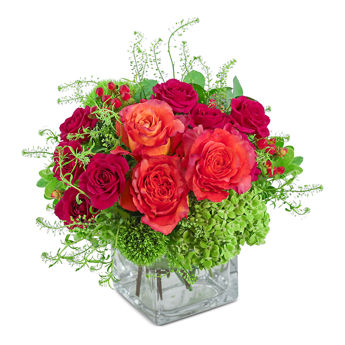 Samba Blooms