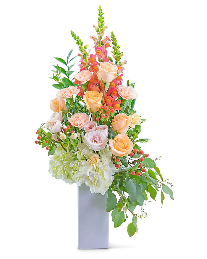 Sorbet Garden