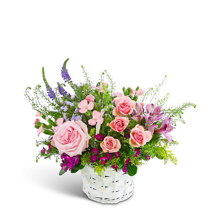 Petal Prelude