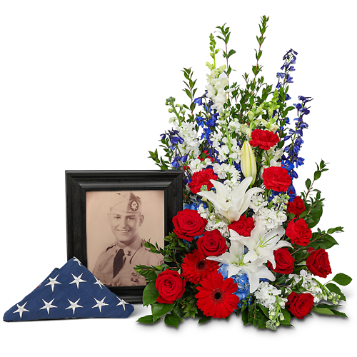 Stars and Stripes Forever Photo Tribute