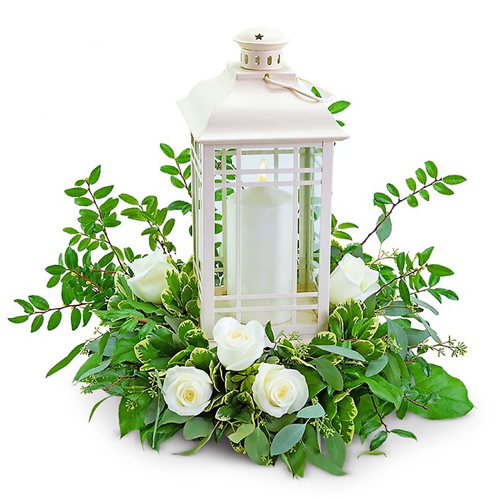 Classic White Rose Lantern
