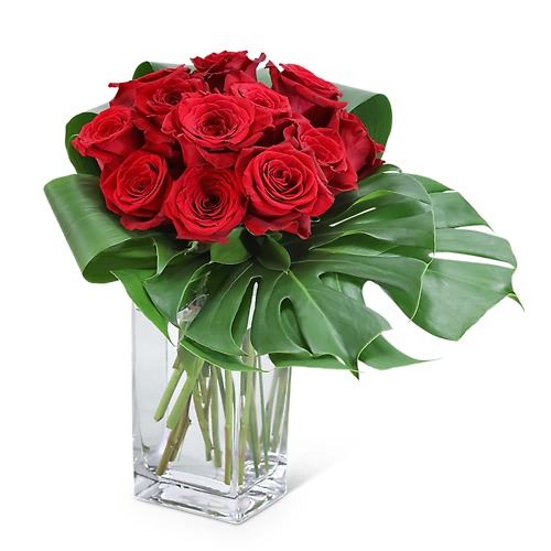 Anniversary & Romance