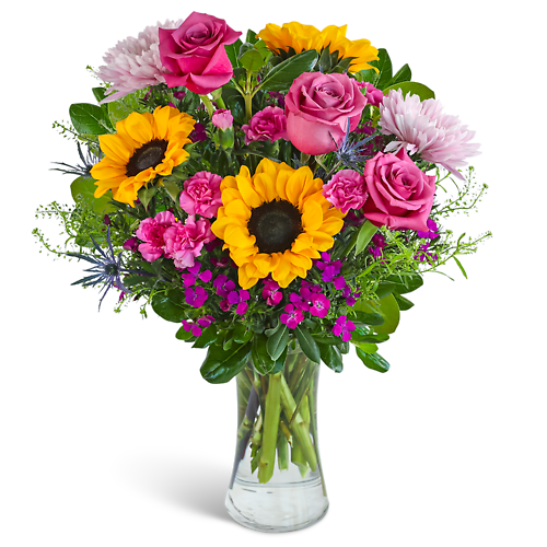 Joy in Bloom