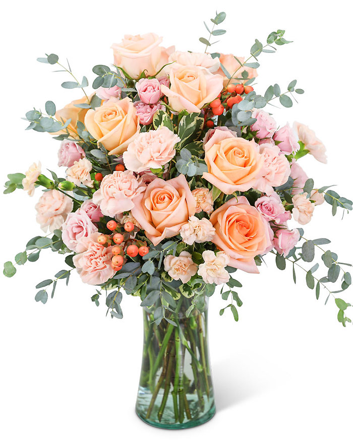 Sorbet Rose Garden